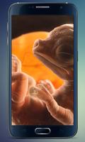 Embryo Dragon Live Wallpaper capture d'écran 1