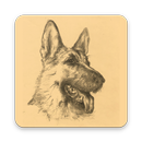 Dog Atlas APK