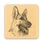 Dog Atlas icon