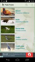 Ptaki Polski Affiche