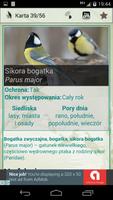 Ptaki Polski اسکرین شاٹ 3