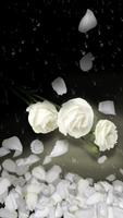 White Rose 스크린샷 2