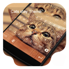 Cat Stay -Video Emoji Keyboard icono