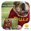 Hello Bull Dog -Are You Well