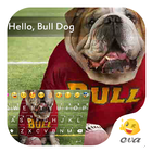 Hello Bull Dog -Are You Well ikon
