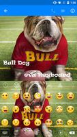 Hello Bull Dog -Are You Well 截图 2