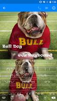 برنامه‌نما Hello Bull Dog -Are You Well عکس از صفحه