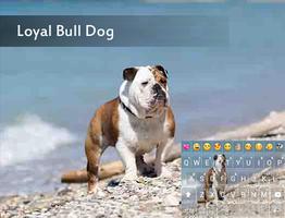 Loyal Bull Dog Emoji Keyboard Affiche