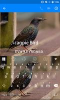 Magpie Keyboard capture d'écran 2