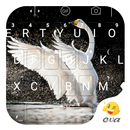 Ugly duck become white swan APK