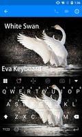 Ugly duck become white swan Affiche