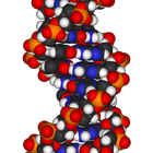 Principles of Biochemistry simgesi