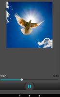 Litany of the Holy Spirit / Ghost English Audio 스크린샷 1