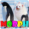 Morphing Animals. Dog APK