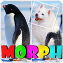 APK Morphing Animals. Dog