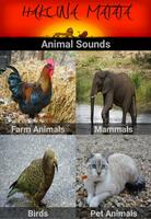Animal Sounds - Animal quiz Affiche