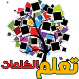 كلمات اللغة الانجليزية Offline icône