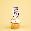 Five Years! APK