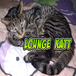 Lithium Battery - Bling Edition