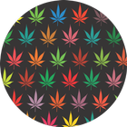 Cannabis News icono