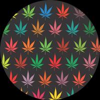 Cannabis News captura de pantalla 2