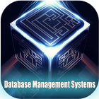 Database Management Systems icône