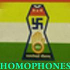 English Homophones icône