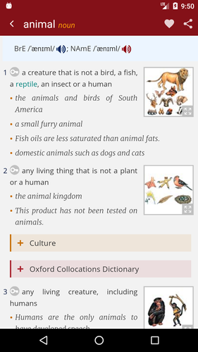 無料で Oxford Picture Dictionary アプリの最新版 Apk1 0 7をダウンロードー Android用 Oxford Picture Dictionary Apk の最新バージョンをダウンロード Apkfab Com Jp