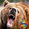 Bear Simulator APK