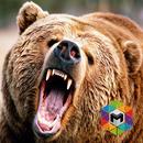 Bear Simulator APK