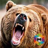 Bear Simulator