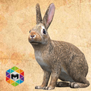 Rabbit Simulator APK