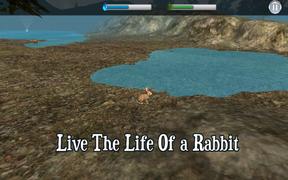برنامهنما Rabbit Simulator عکس از صفحه