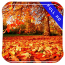 Early Autumn Walk Live Wallpap APK