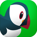 Pro Puffin Browser 2017 tips APK