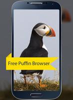 Pro Puffin Browser 2017 tips Cartaz
