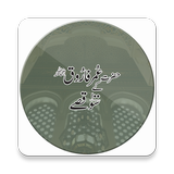 Hazrat Umar R.A ke 100 Qissay آئیکن
