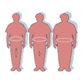 BMI Rechner