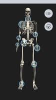 OT Kinesiology Pro Consult الملصق