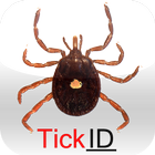 NCSU TickID icono