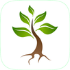 A New Tree APK