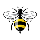 Bee Safety icône