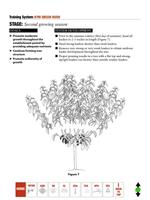 Cherry Pruning स्क्रीनशॉट 1