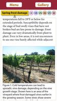 Vineyard Growth syot layar 1