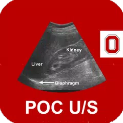 POC Ultrasound Guide