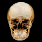 Dental Panoramic Radiology icon