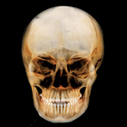 ikon Dental Panoramic Radiology