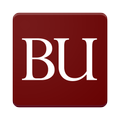 One BU