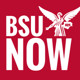 BSU Now icône