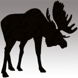 Pingree Park Field Guide icône